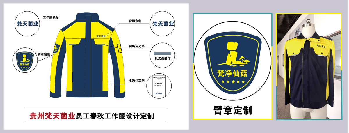梵天菌业工作装款式图片